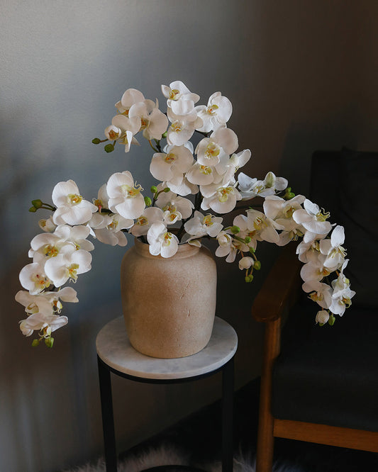 White Artificial Phalaenopsis Orchids in Vase