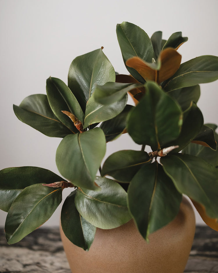 Faux Greenery Artificial Magnolia Leaves