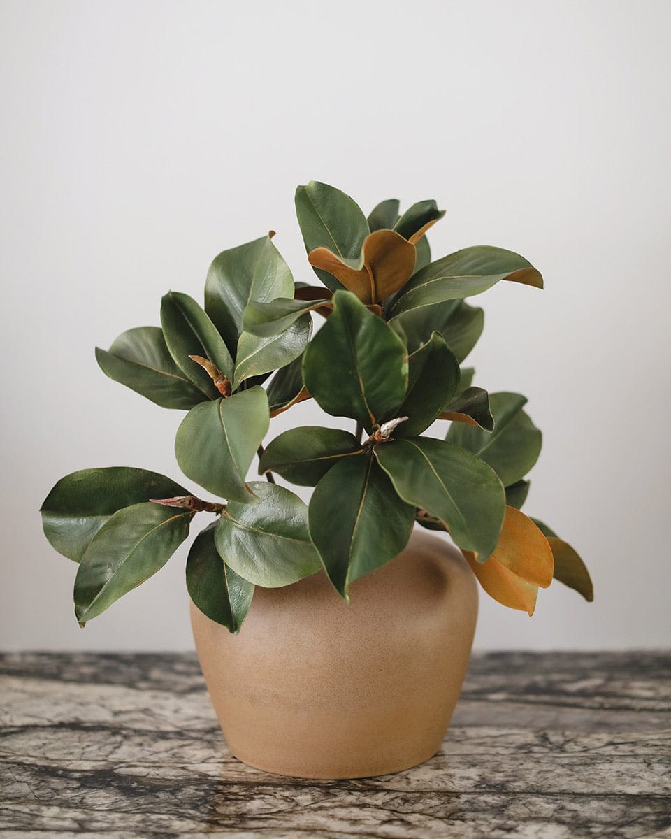 Faux Magnolia Leaves Styled in Vase