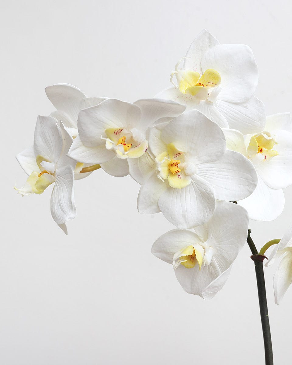 Premium Faux Flowers White Phalaenopsis Orchid