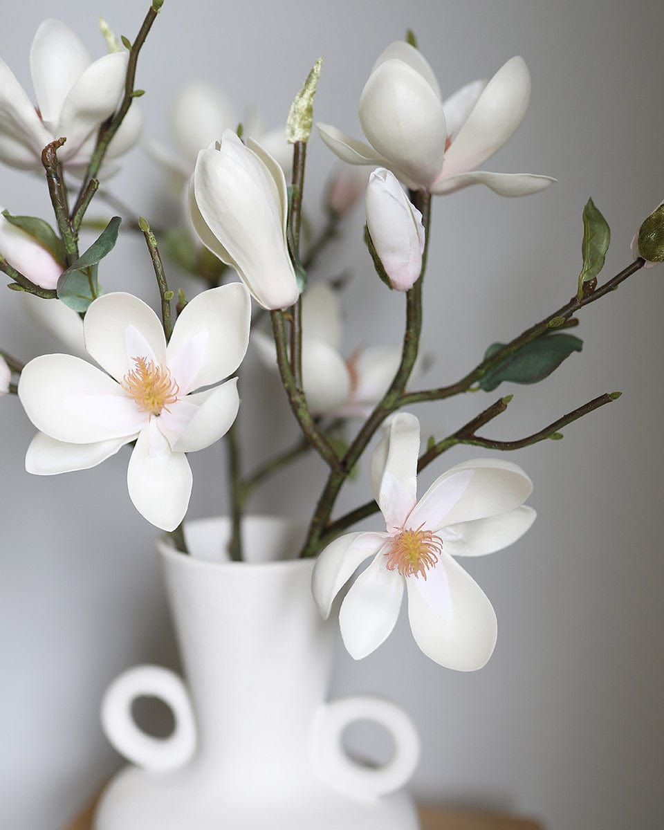 Close Up Image of White Magnolia Blossoms in Vase