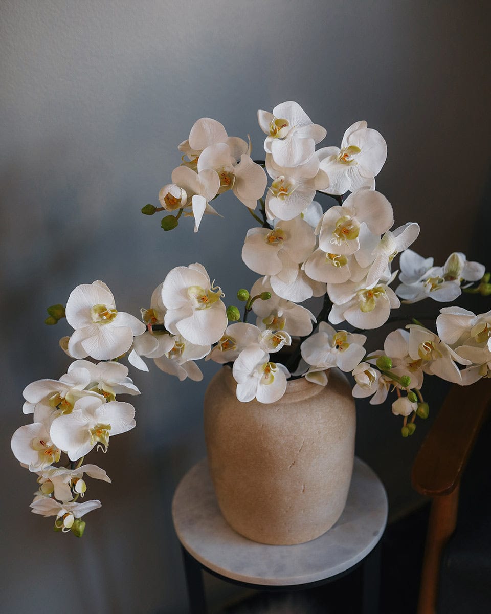 Phalaenopsis Orchids Faux Flowers in Vase