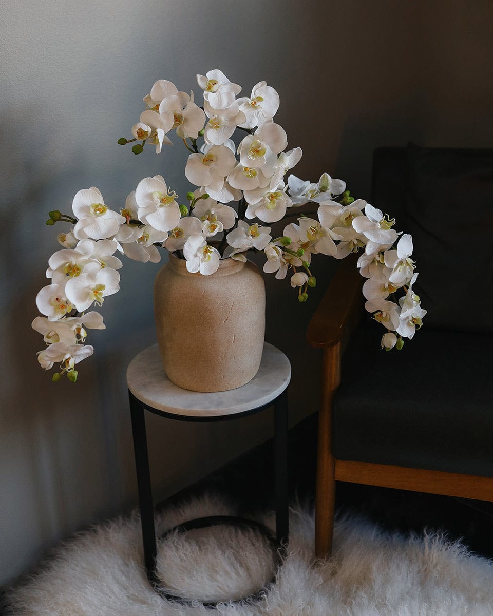 White Fake Orchid Stems Arranged in Vase