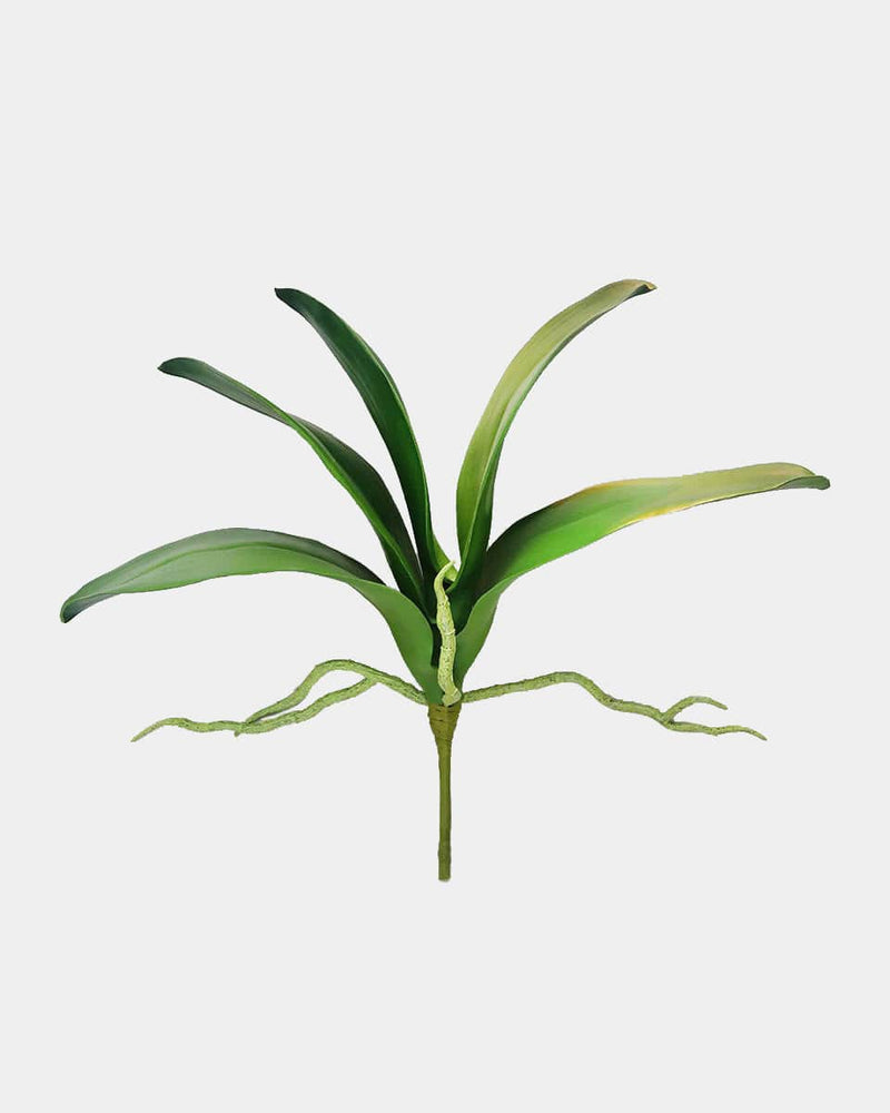 Artificial Orchid Leaves 12