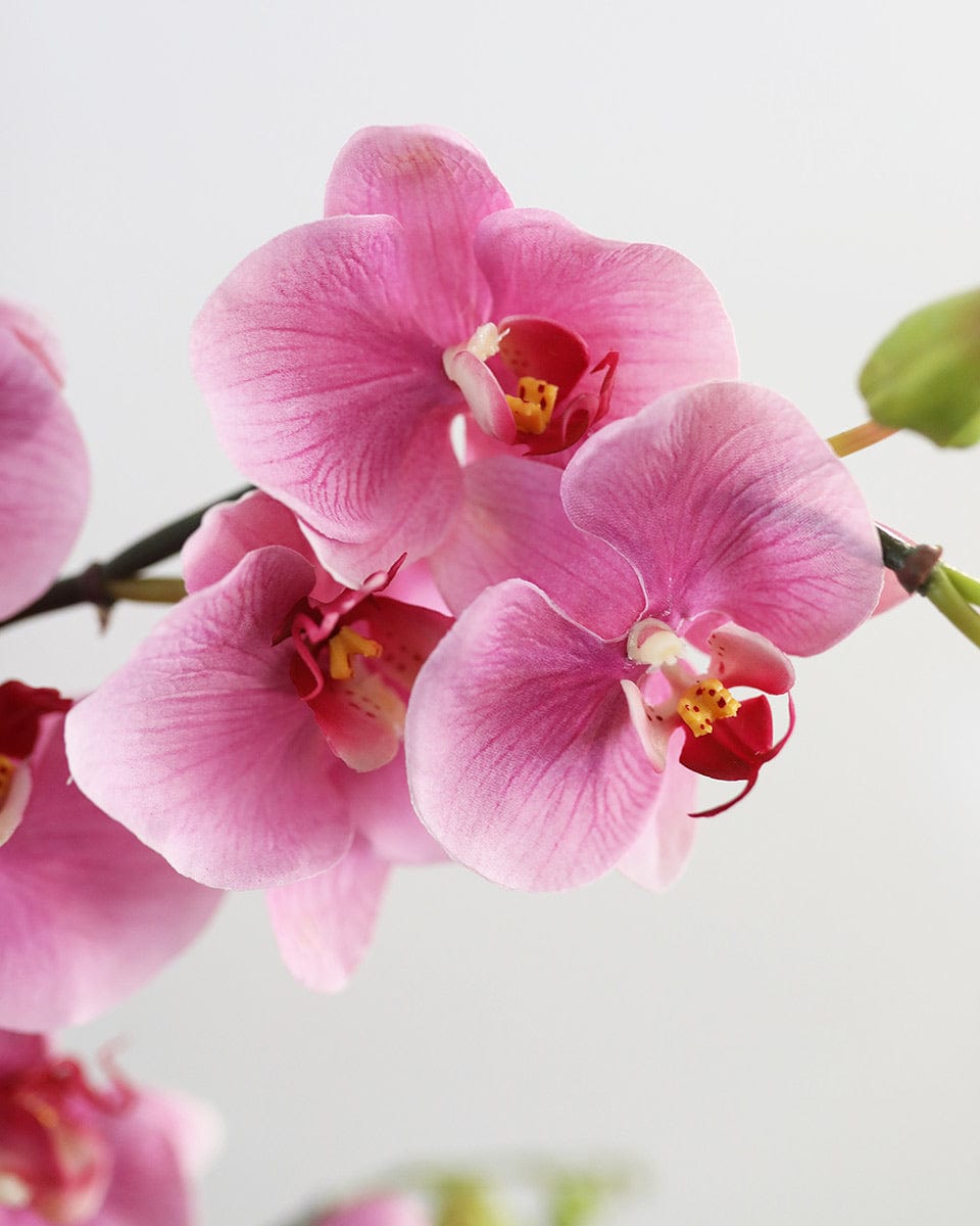 Pink Artificial Phalaenopsis Orchid Flower