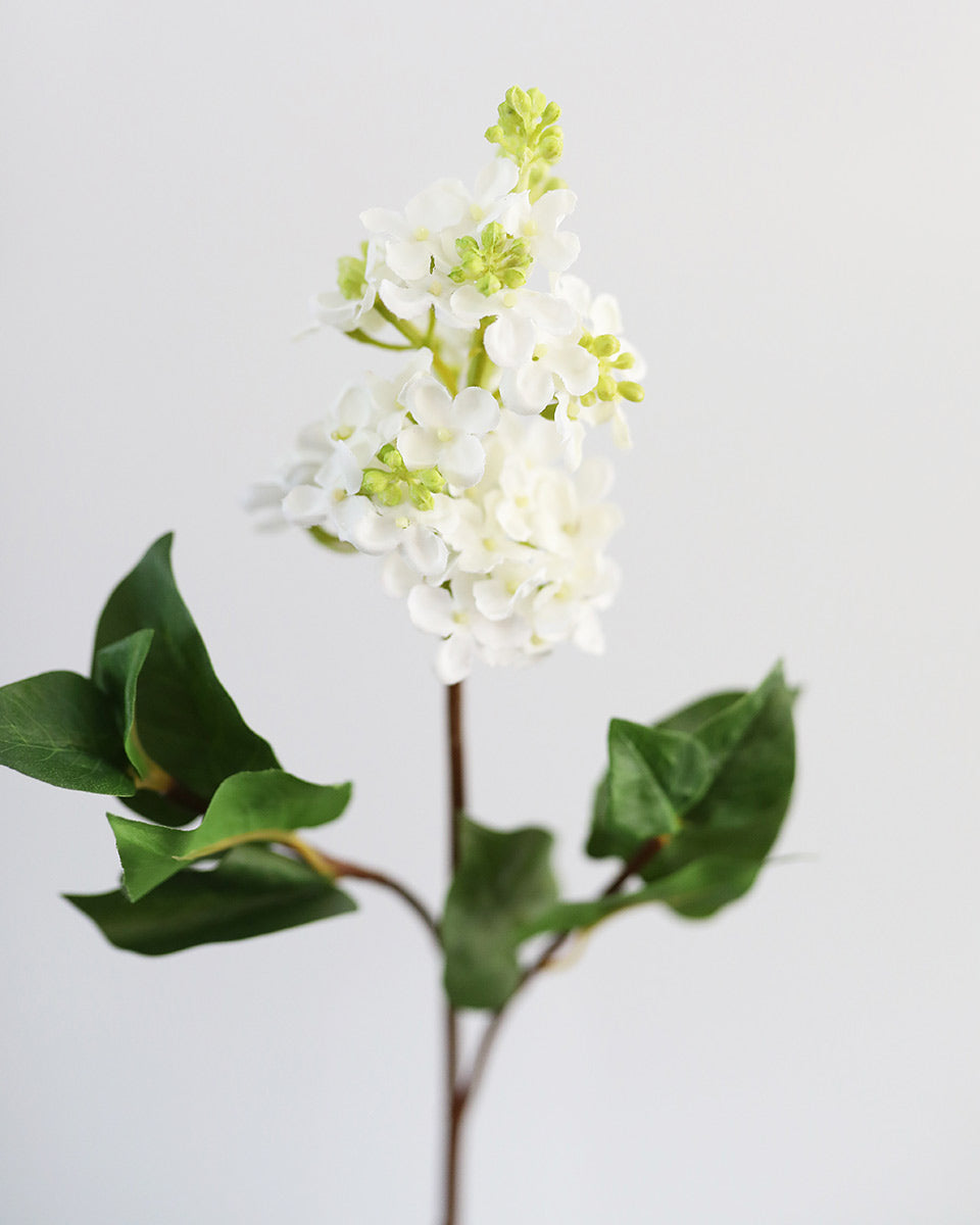 Details of White Real Touch Lilac Blossoms