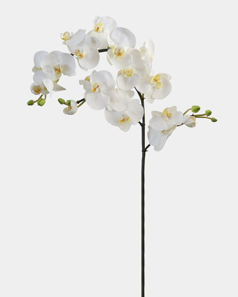 White Artificial Orchid Stems with Soft Touch Blooms