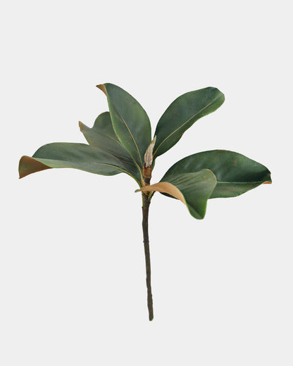 Prestige Botanicals Artificial Medium Magnolia Leaf Spray Stem