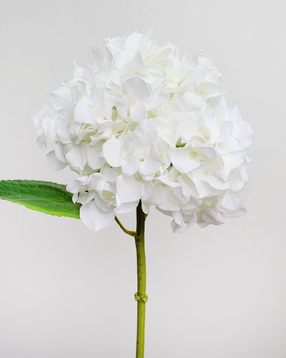 White Real Touch Artificial Hydrangea