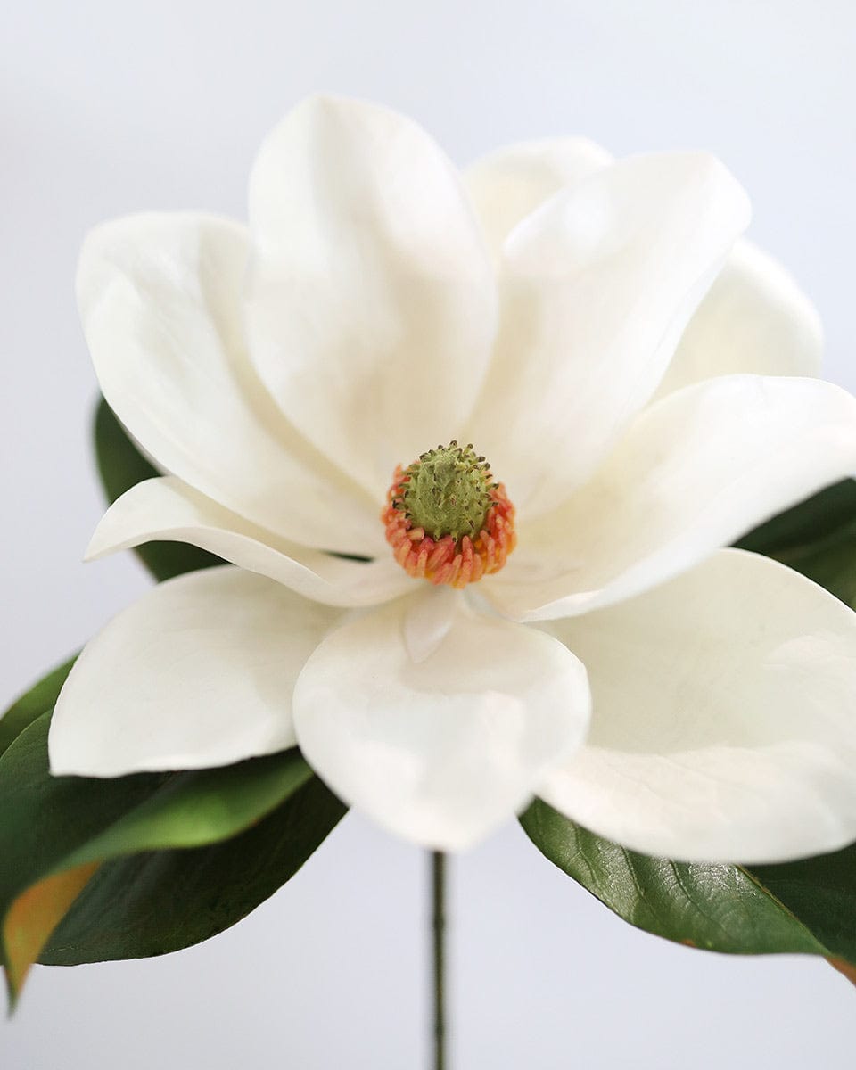 Faux Florals Cream Magnolia Blossom