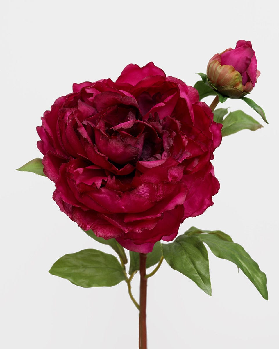 Close of Details of Artificial Peony Flower in Burgundy Pink