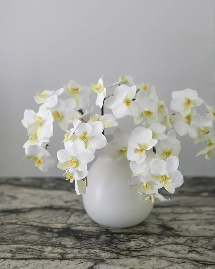 White Artificial Orchids Silk Flowers in Vase