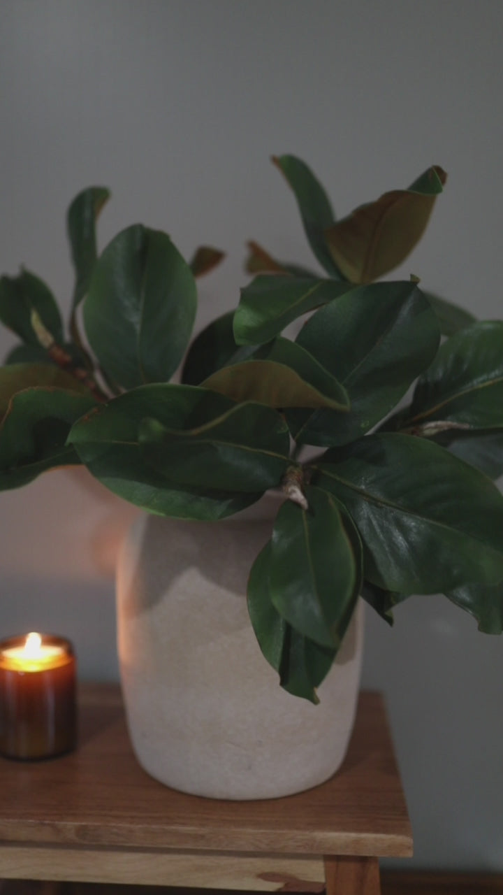 Video of Artificial Green Magnolia Leaves for Home Decor