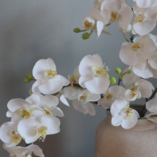 Video Showcasing White Artificial Orchid Blooms in Home