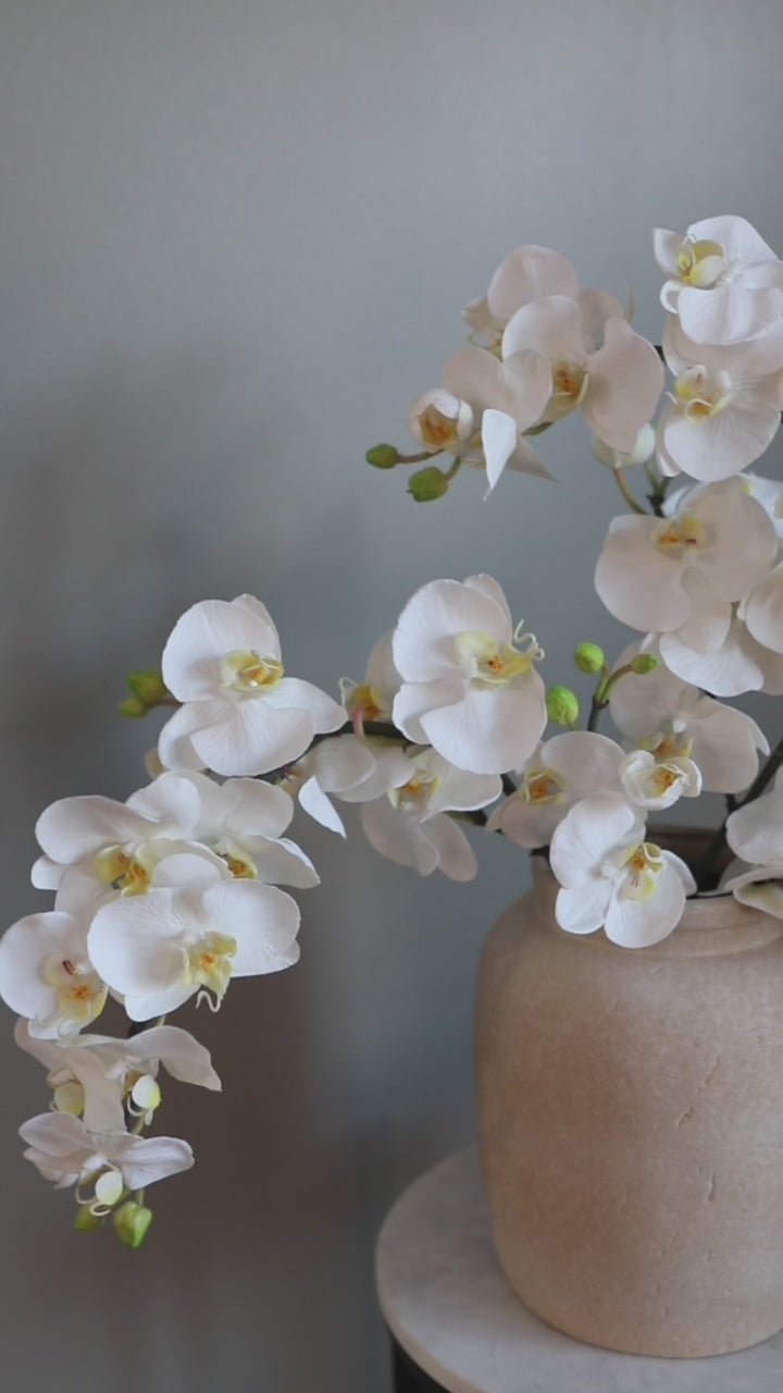 Video Showcasing White Artificial Orchid Blooms in Home