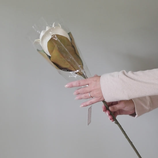 Video Showing How to Fluff an Artificial Magnolia Blossom and Leaves