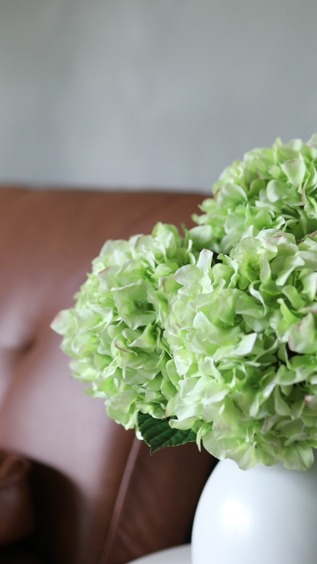 Video Showcasing Real Touch Faux Green Hydrangea Blossoms