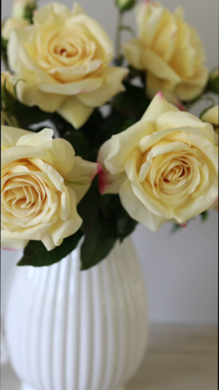 Video Showcasing Real Touch Yellow Roses