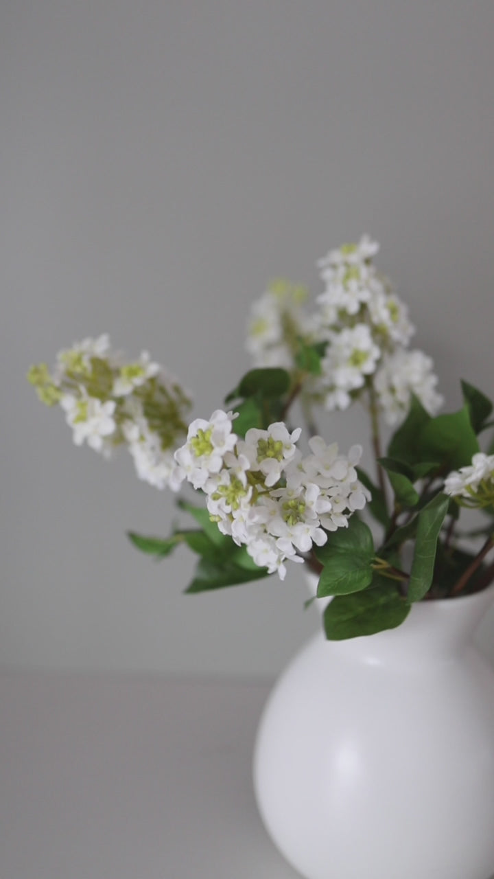 Fake White Lilacs in White Vase Video