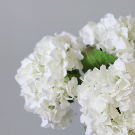 Video of White Faux Hydrangea Blossoms in Vase