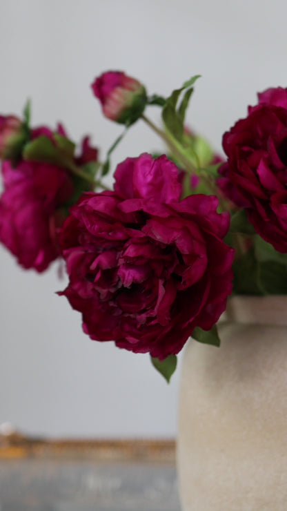 Burgundy Pink Silk Peonies Video Short