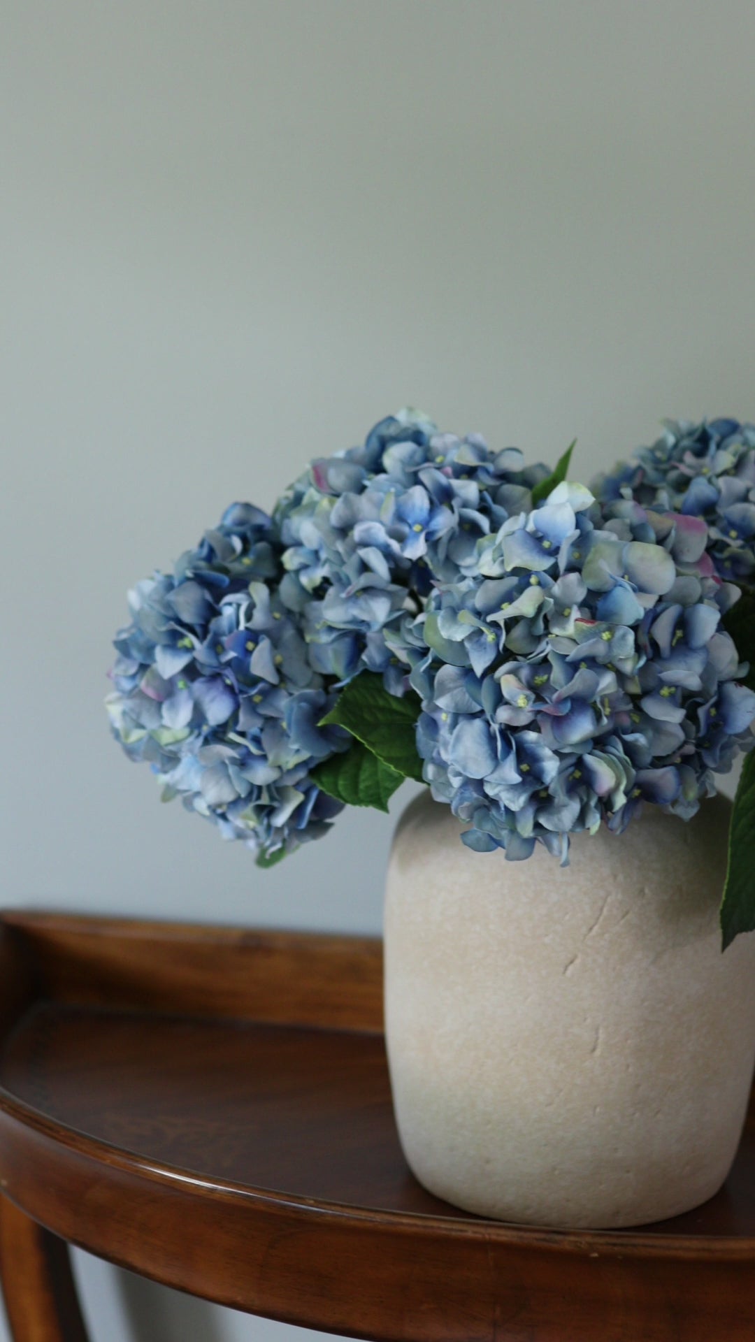 Video SHowcasing Blue Real Touch Hydrangeas in a Home